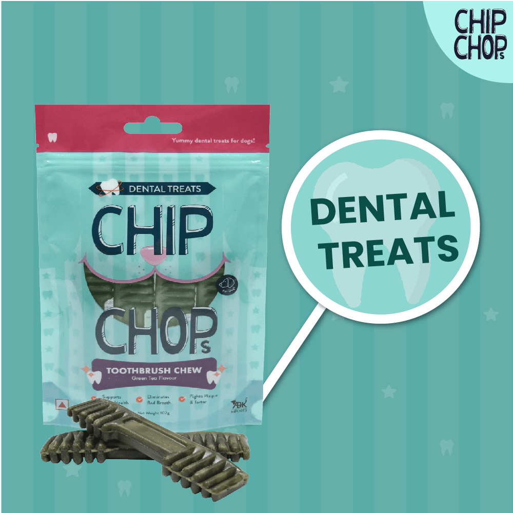 Chip Chops Toothbrush Chew Green Tea Flavored Dog Treats