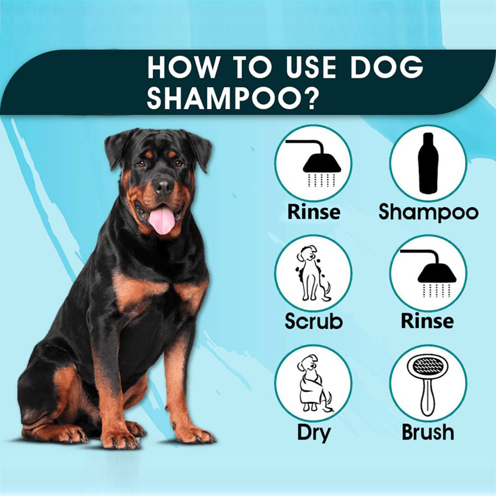Basil Anti Dandruff  Anti Itch Shampoo for Dogs and Cats