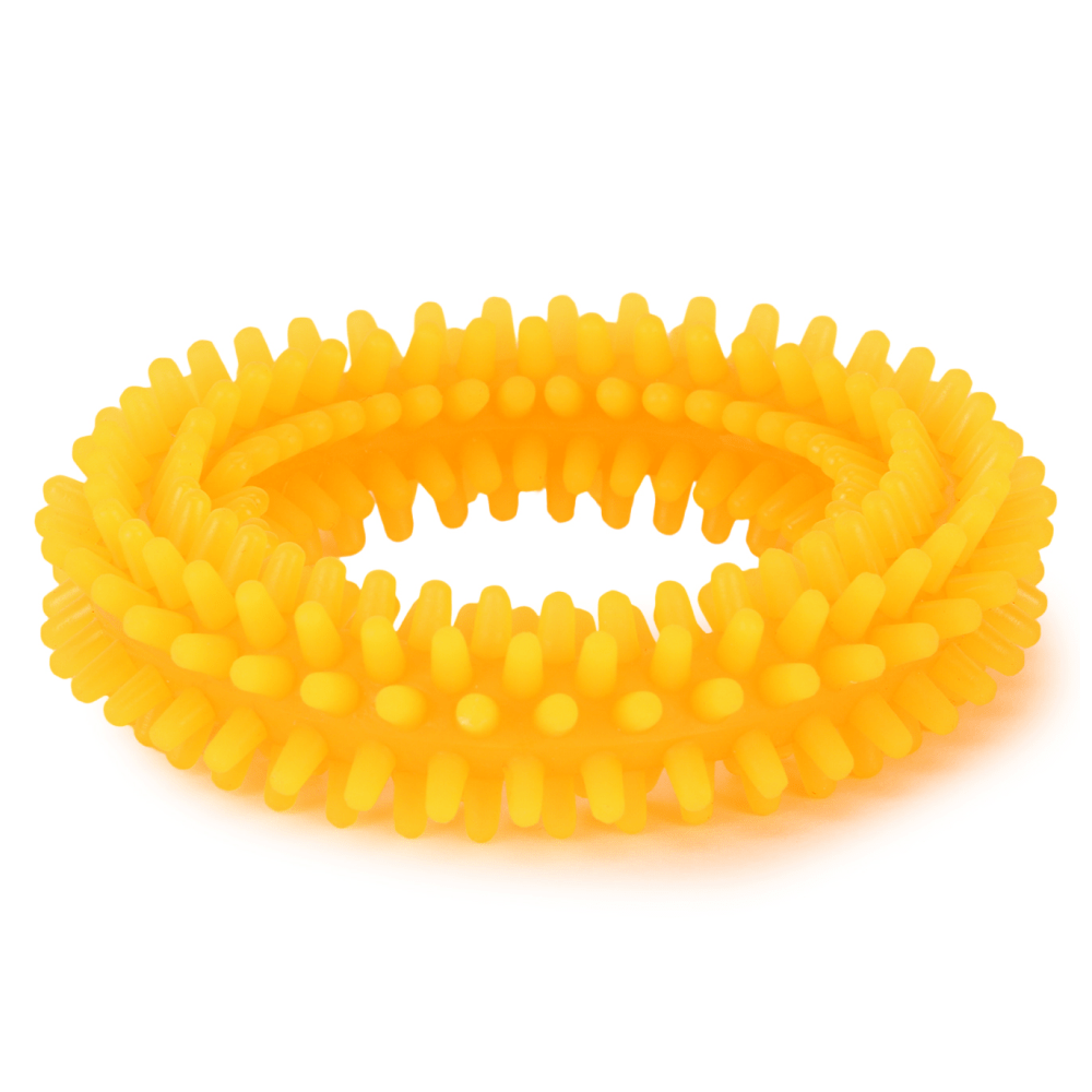 Basil Teething Ring Chew Toy for Dogs  For Medium Chewers Orange