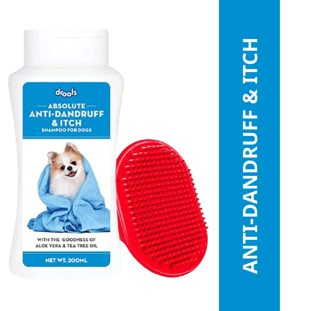 Drools Anti Dandruff and Itch Shampoo for Dogs