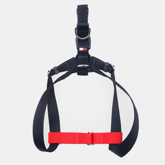 Tommy Hilfiger Blocked Harness for Dogs RedWhite