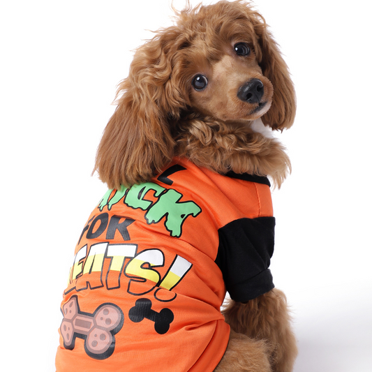 The Happy Lots Pet Halloween Tshirt for Dogs Orange