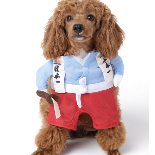 The Happy Lots Samoria Costume for Dogs