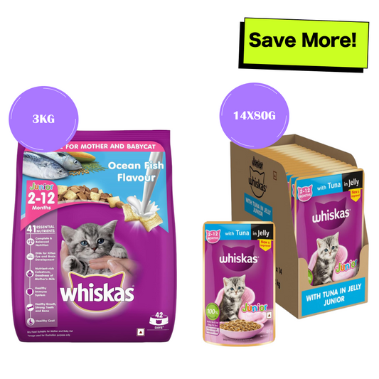 Whiskas Ocean Fish and Tuna in Jelly Kitten Dry and Wet Food Combo