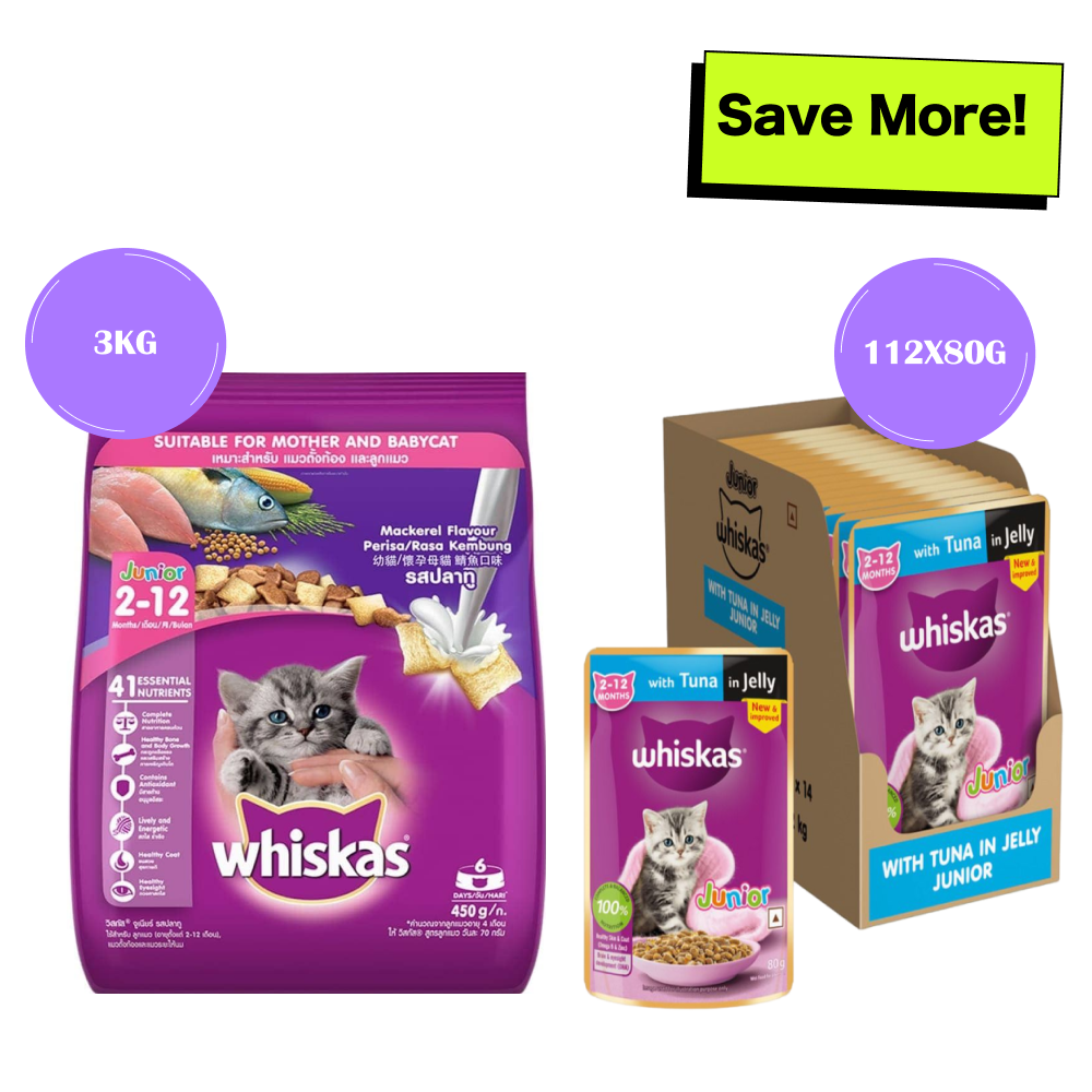 Whiskas Tuna in Jelly Kitten Wet Food and Mackerel Flavour Kitten 2 to 12 months Dry Food Combo