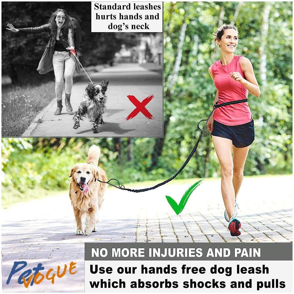 Pet Vogue Shock Proof Hands-Free Dog Leash for Medium and Large Dogs 5ft