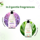 Combo  Natural Handwash  Lavender  Vetiver  Aloe  Green Tea  1000 ML