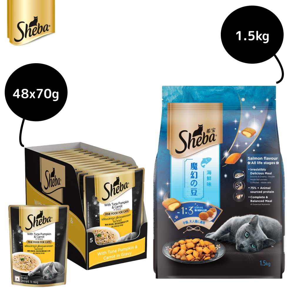 Sheba Tuna Pumpkin  Carrot In Gravy Rich Premium Adult Fine Cat Wet Food and Salmon Flavour Irresistible All Life Stages Cat Dry Food Combo