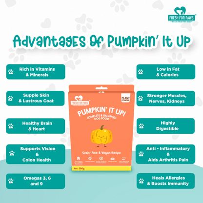 Fresh For Paws Pumpkin It Up Dog Wet Food 100g