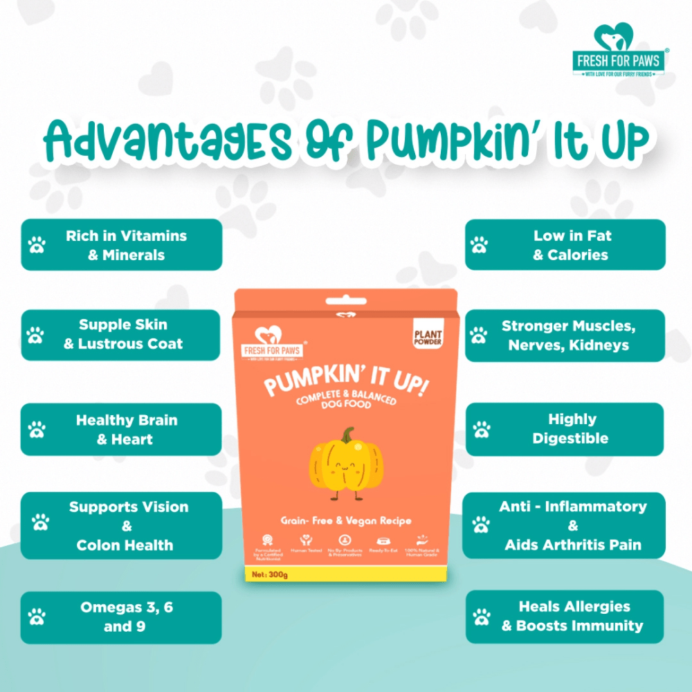 Fresh For Paws Pumpkin It Up Dog Wet Food 300g