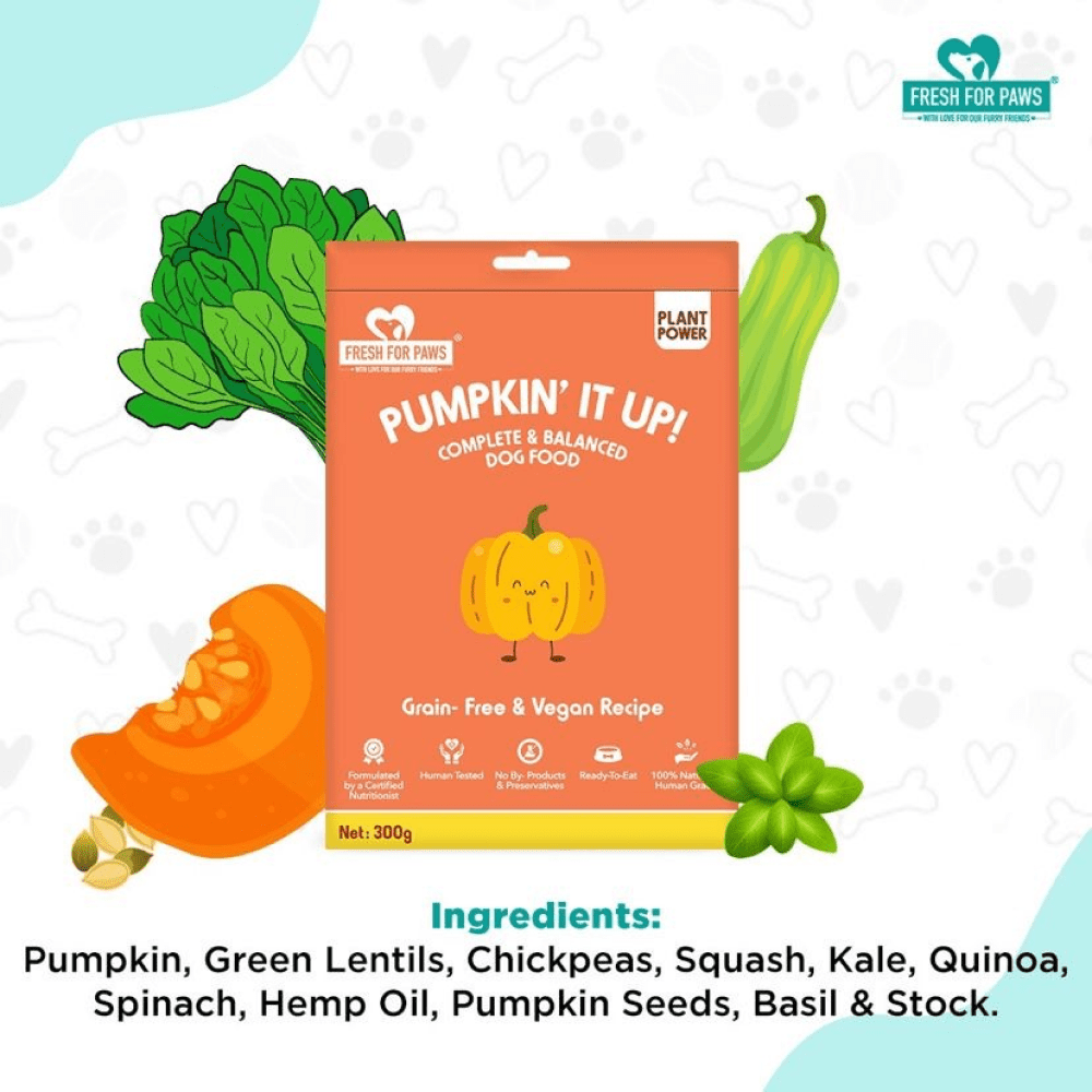 Fresh For Paws Pumpkin It Up Dog Wet Food 100g