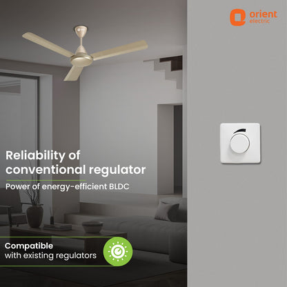 Hector 500 5 Star Rated BLDC Ceiling Fan