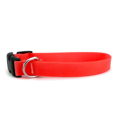 Skatrs Adjustable Collar with Bell for Cats  Kittens Lime Green and Red Combo