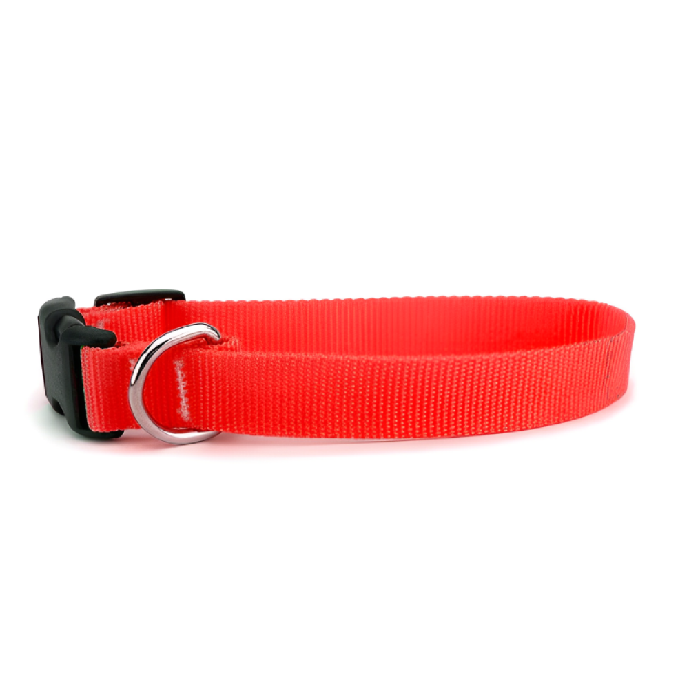SKATRS Collar with Bell for Cats  Puppies Red