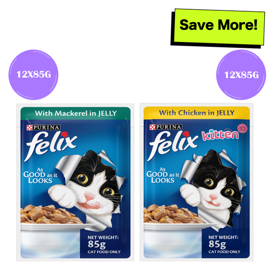 Purina Felix Mackerel with Jelly Adult and Chicken with Jelly Kitten Cat Wet Food Combo