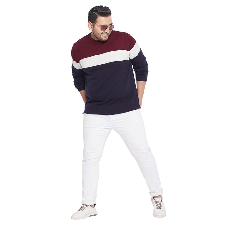 Men Plus Size Lance Colorblock Sweater