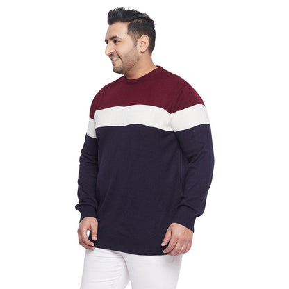 Men Plus Size Lance Colorblock Sweater