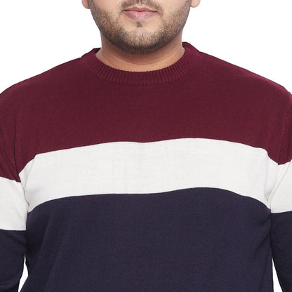 Men Plus Size Lance Colorblock Sweater