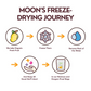 Moon Freeze Moonlight Festival Packs