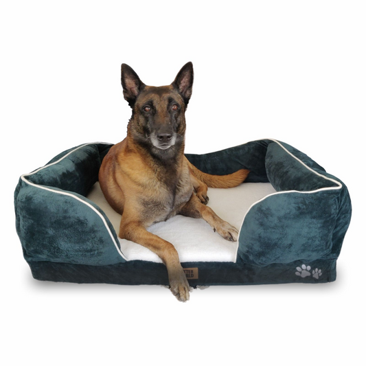 Petter World Convoluted  HD Foam Base with Bolster Orthopedic Sofa Bed for Dogs and Cats Bottle Green