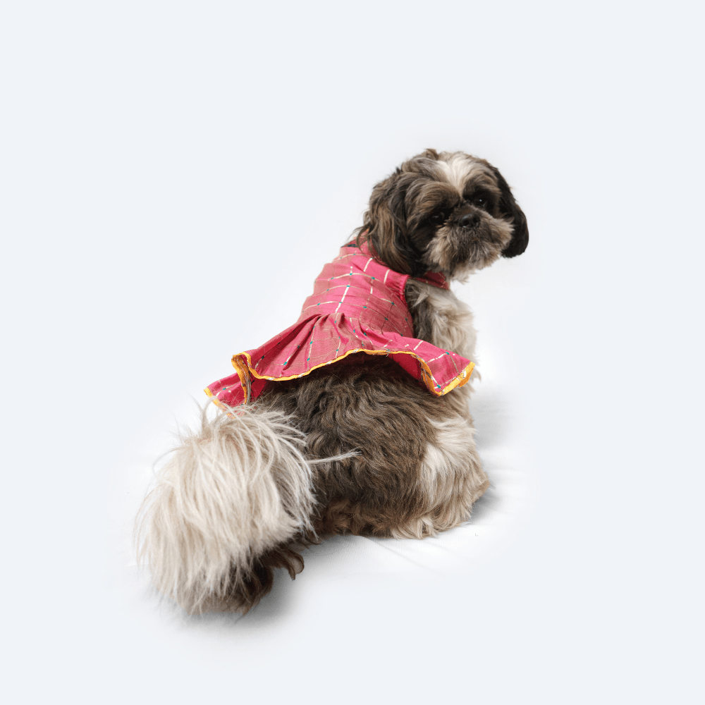 Pawgypets Formal Check Ruffle Dress for Dogs and Cats Pink