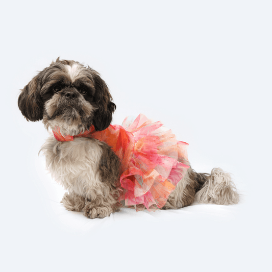 Pawgypets Frill Dress for Dogs and Cats Orange