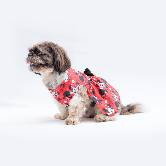 Pawgypets Mickey Casual Dress for Dogs and Cats Red