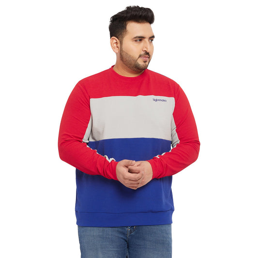 Men Plus Size Parker Colorblock Sweatshirt