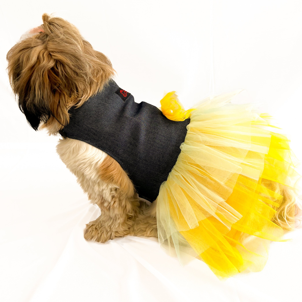 Pawgypets Denim Frilly Dress for Dogs and Cats BlueYellow