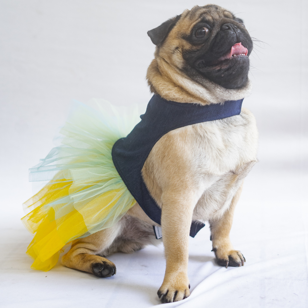 Pawgypets Denim Frilly Dress for Dogs and Cats BlueYellow