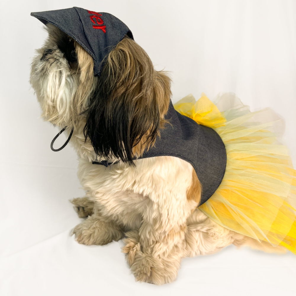 Pawgypets Denim Frilly Dress for Dogs and Cats BlueYellow