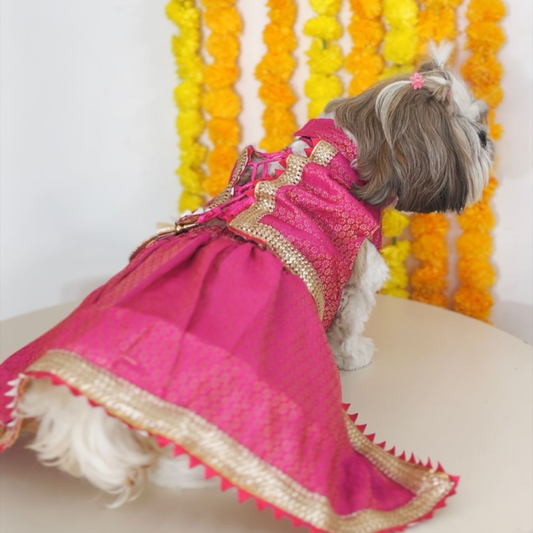 Pawgypets Brocade Lehenga for Dogs and Cats Pink