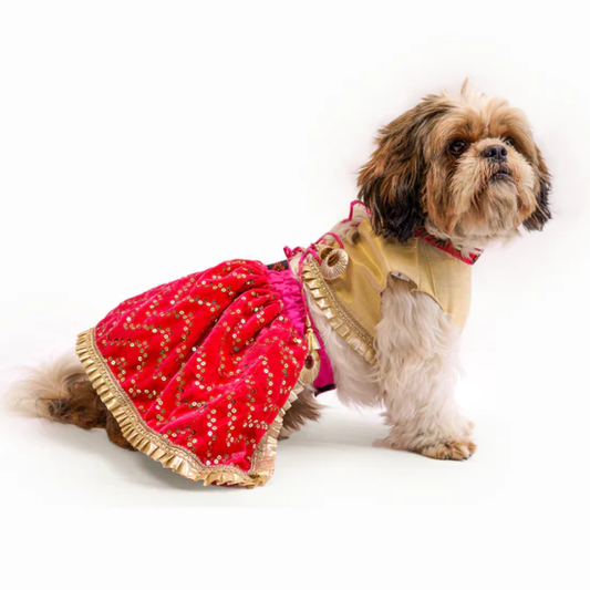 Pawgypets Velvet Lehenga for Dogs and Cats PinkGolden