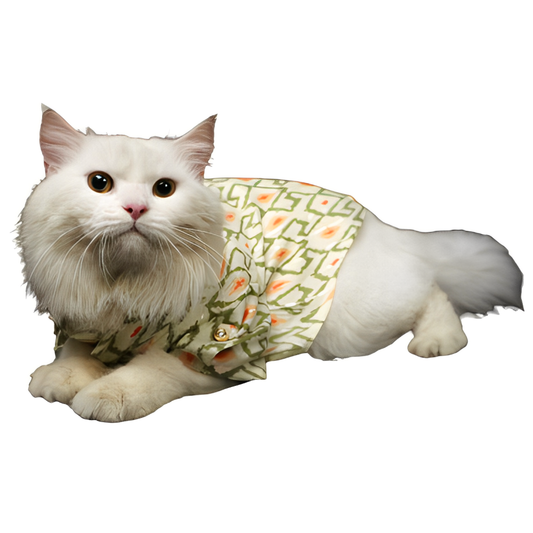 Pawgypets Heritage Kurta for Dogs and Cats Off WhiteOrange