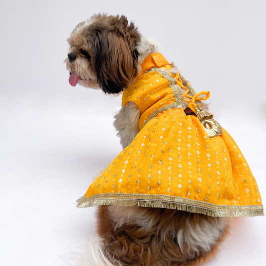 Pawgypets Festive Lehenga for Dogs and Cats Yellow