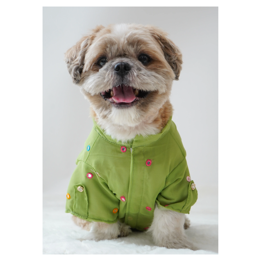 Pawgypets Festive Shirt for Dogs Pista Green