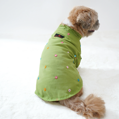 Pawgypets Festive Shirt for Dogs Pista Green