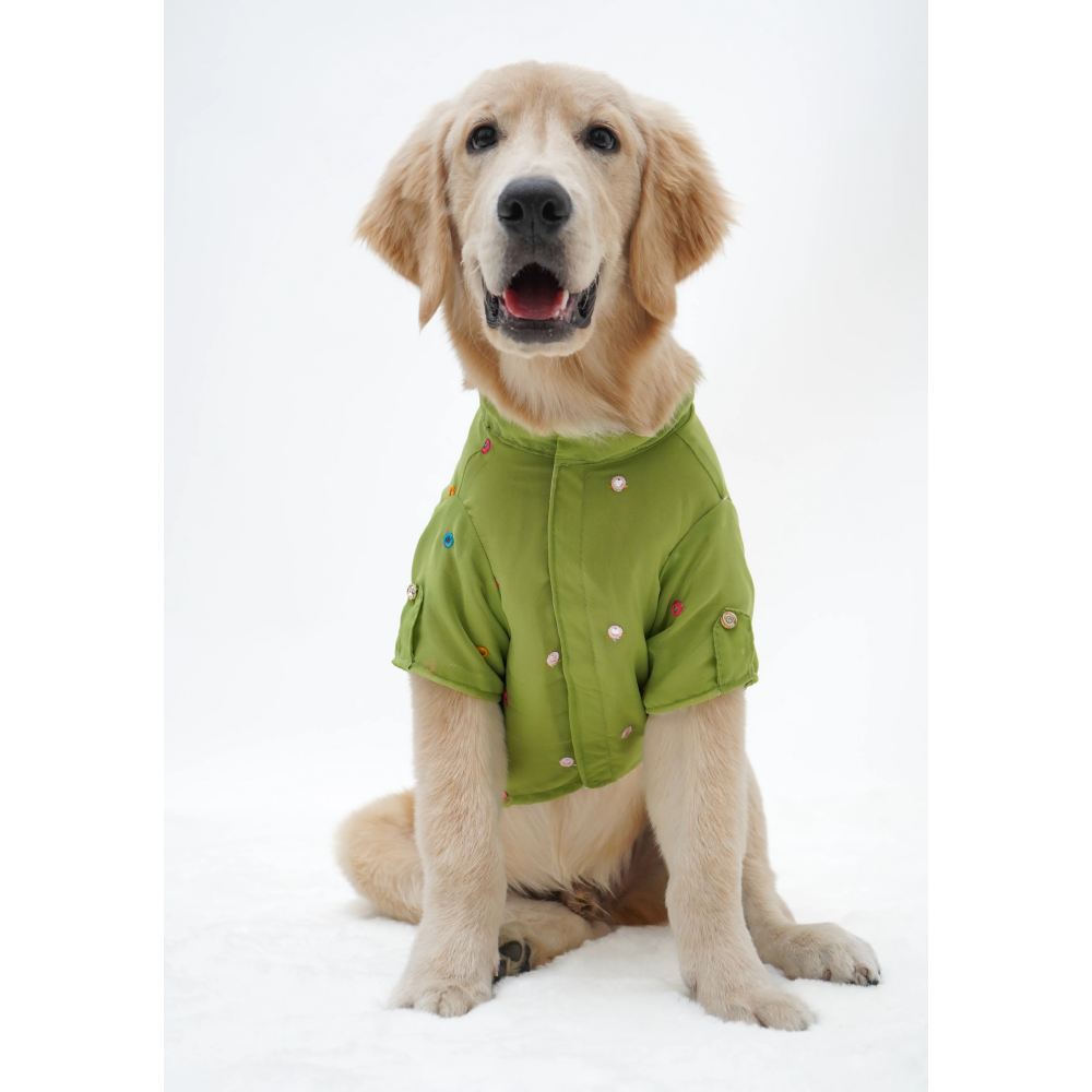 Pawgypets Festive Shirt for Dogs Pista Green