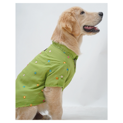 Pawgypets Festive Shirt for Dogs Pista Green