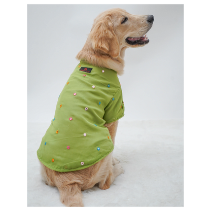 Pawgypets Festive Shirt for Dogs Pista Green