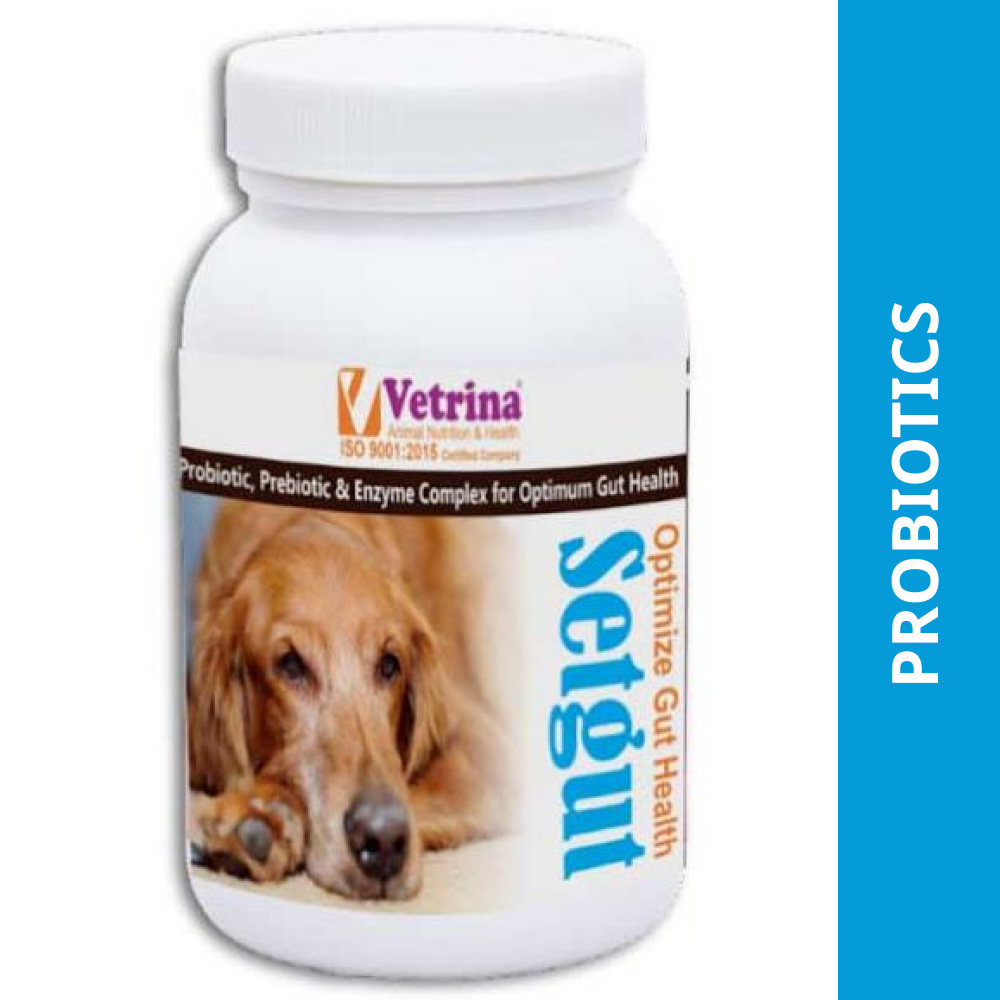 Vetrina Setgut Powder for Dogs and Cats 50g