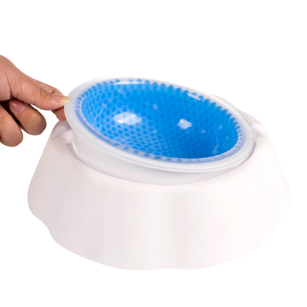 Talking Dog Club Water Cooling Bowl for Dogs WhiteBlue