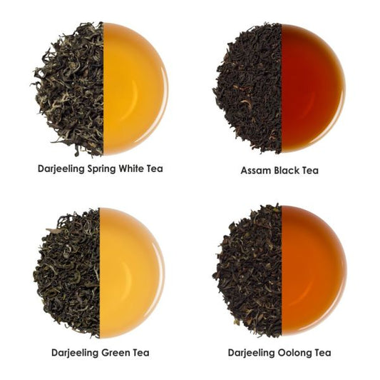 Plain Tea Sampler 4 Teas