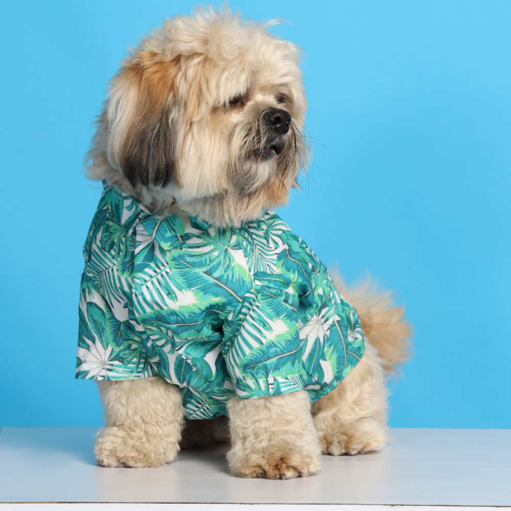 15buttons Rainforest Shirt for Dogs