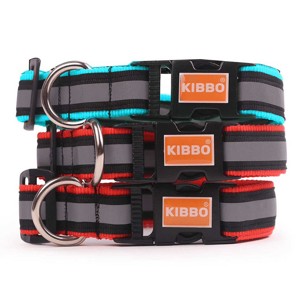 Kibbo Premium Nylon Collar with Buckle and D Ring for Dogs RedSea GreenPack of 3