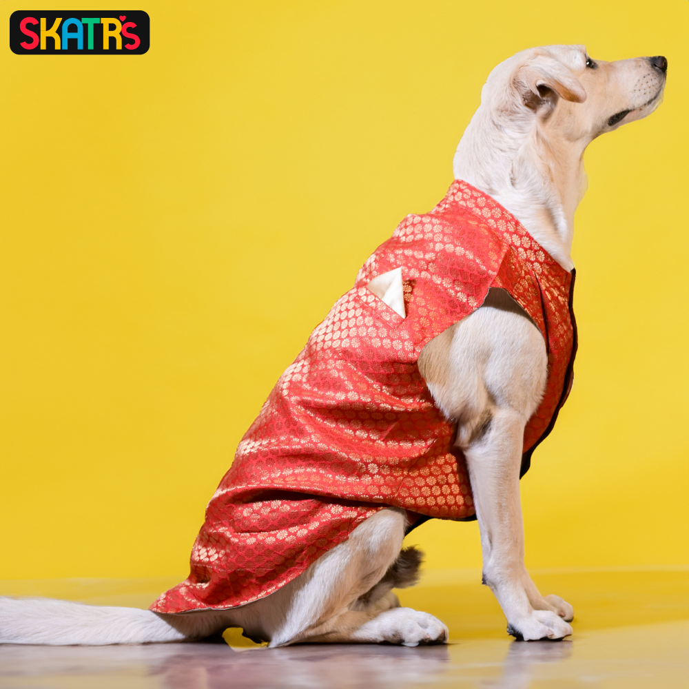 Skatrs Brocade Gold Printed Kurta for Dogs and Cats Red