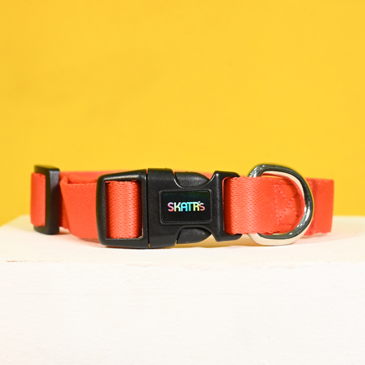 SKATRS Collar for Dogs Red