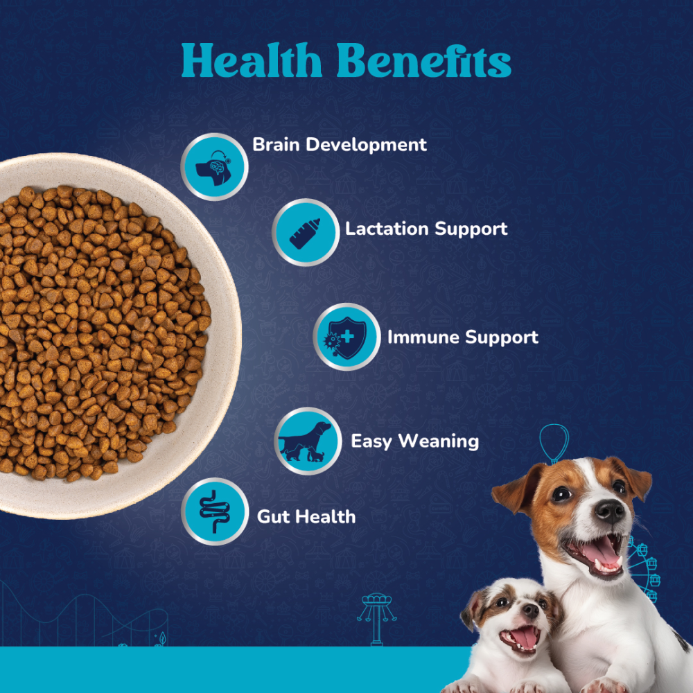 Carniwel Fresh Chicken Kibble Starter For Small Breed Mother  Baby Dog Dry Food