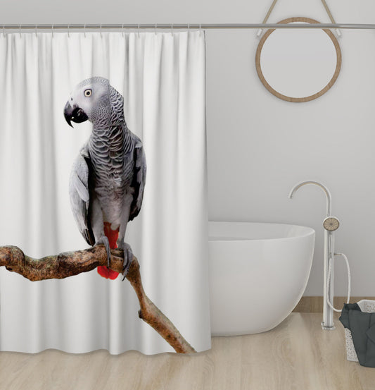 Lushomes Parrot Printed Polyester Shower Curtain 6x6.5 ft, waterproof, non-PVC, 12 eyelets, for washroom/balcony, includes hooks.