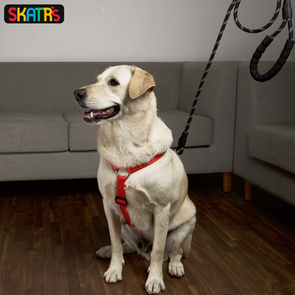 Skatrs Premium H Harness for Dogs Coral Red